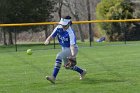 Softball vs Babson  Wheaton College Softball vs Babson College. - Photo by Keith Nordstrom : Wheaton, Softball, Babson, NEWMAC